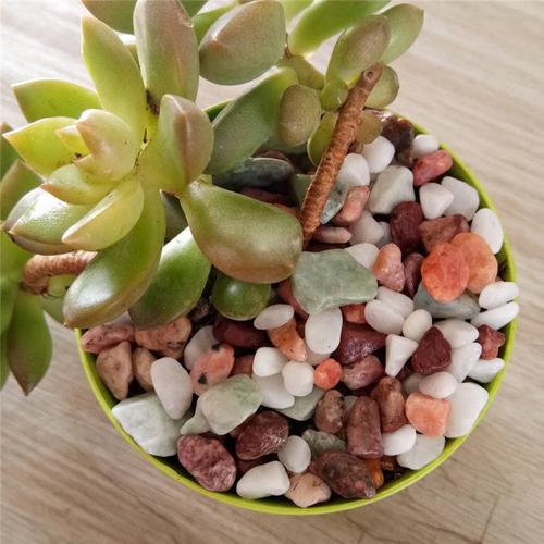 绿宸矿产品加工厂